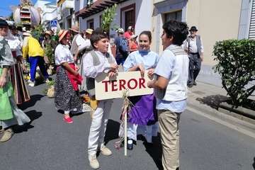 Romería ofrenda a la Virgen del Pino (Foto TA y Antonio Alí)